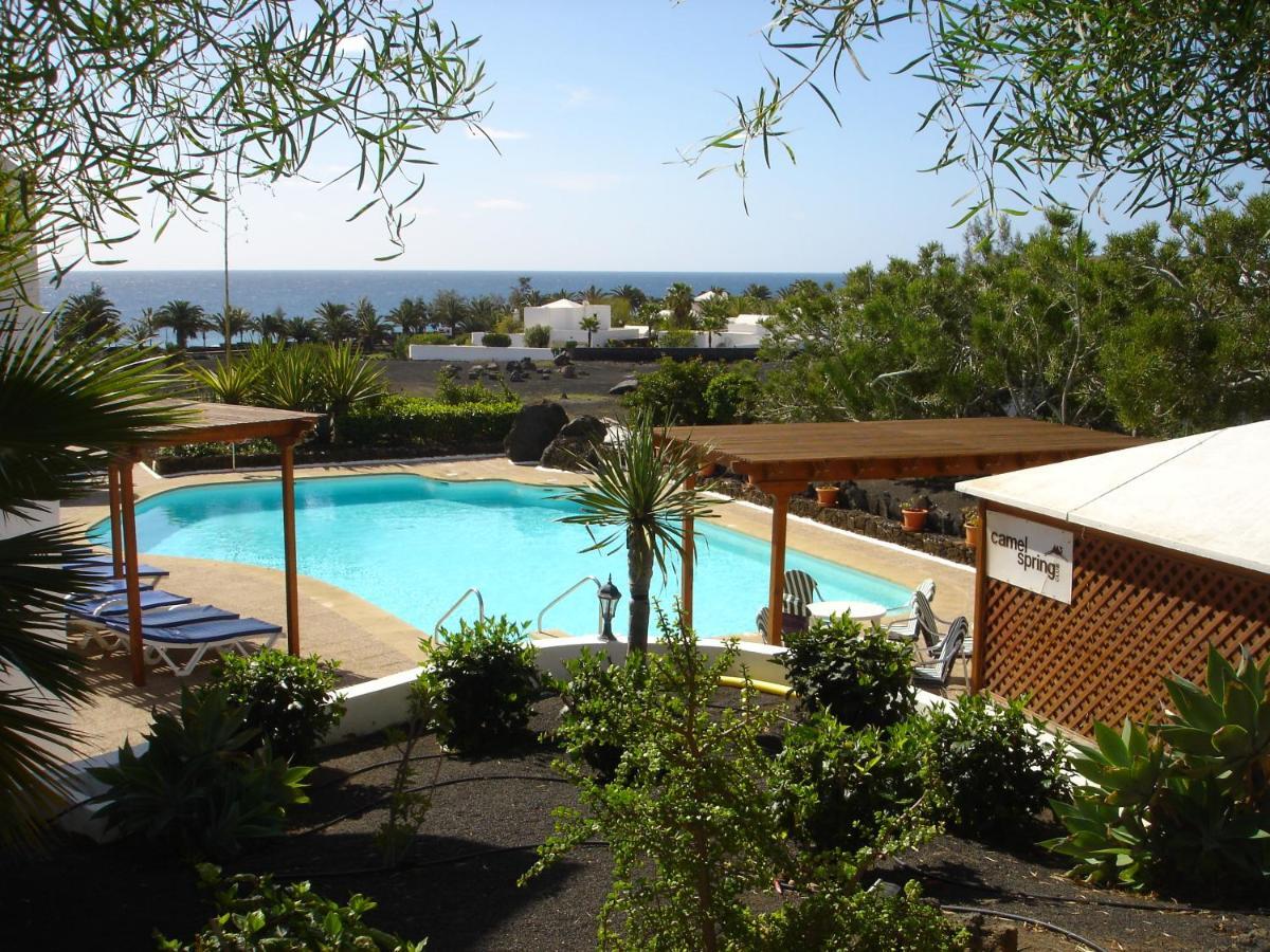 Camel's Spring Club Lejlighed Costa Teguise